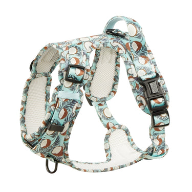 Harnais pour chien anti-traction - Comfy Coconut